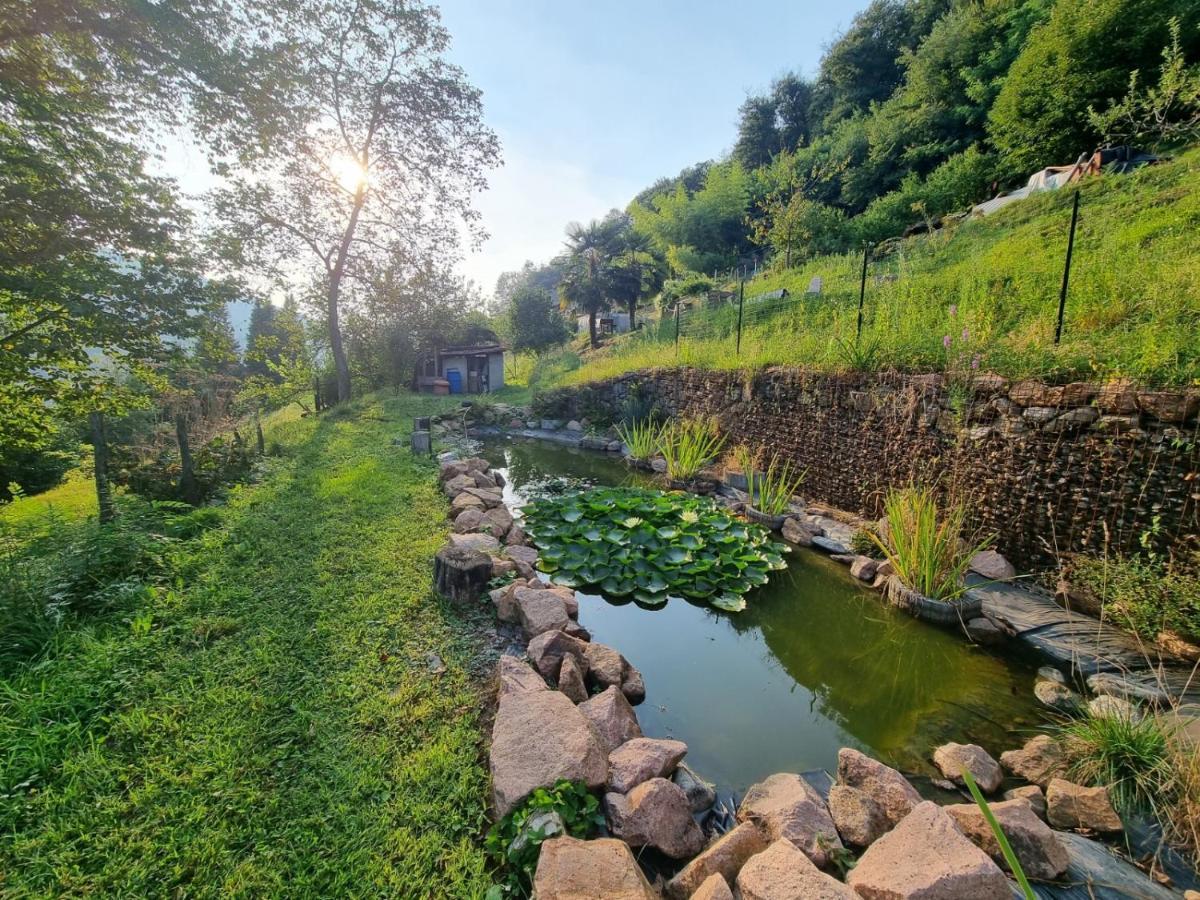 La Nave B&B Monteggio Ngoại thất bức ảnh
